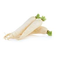 Ředkev bílá 1ks