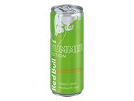 Red Bull Summer curuba/bezový květ 250ml P