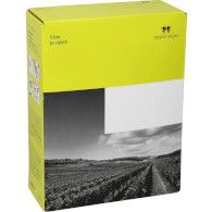 Pinot Gris polosuchý 3l Vinný dům BIB