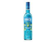 Hanácká Ready to mix curacao 30% 0,5l